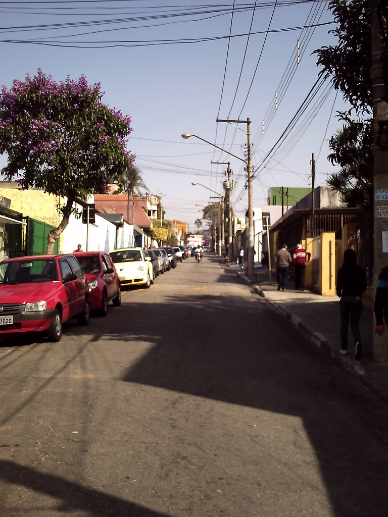Relatório visual